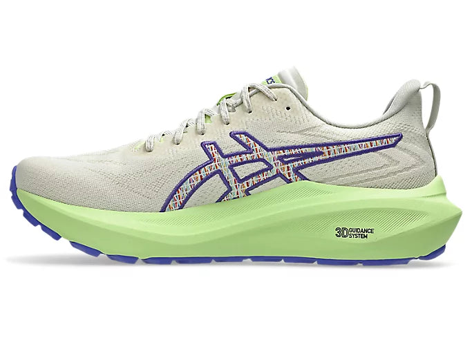 Asics GT-2000 13 TR Men