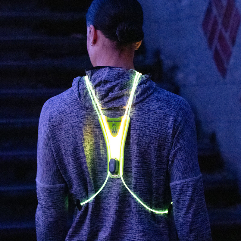 Amphipod Optic Beam Max