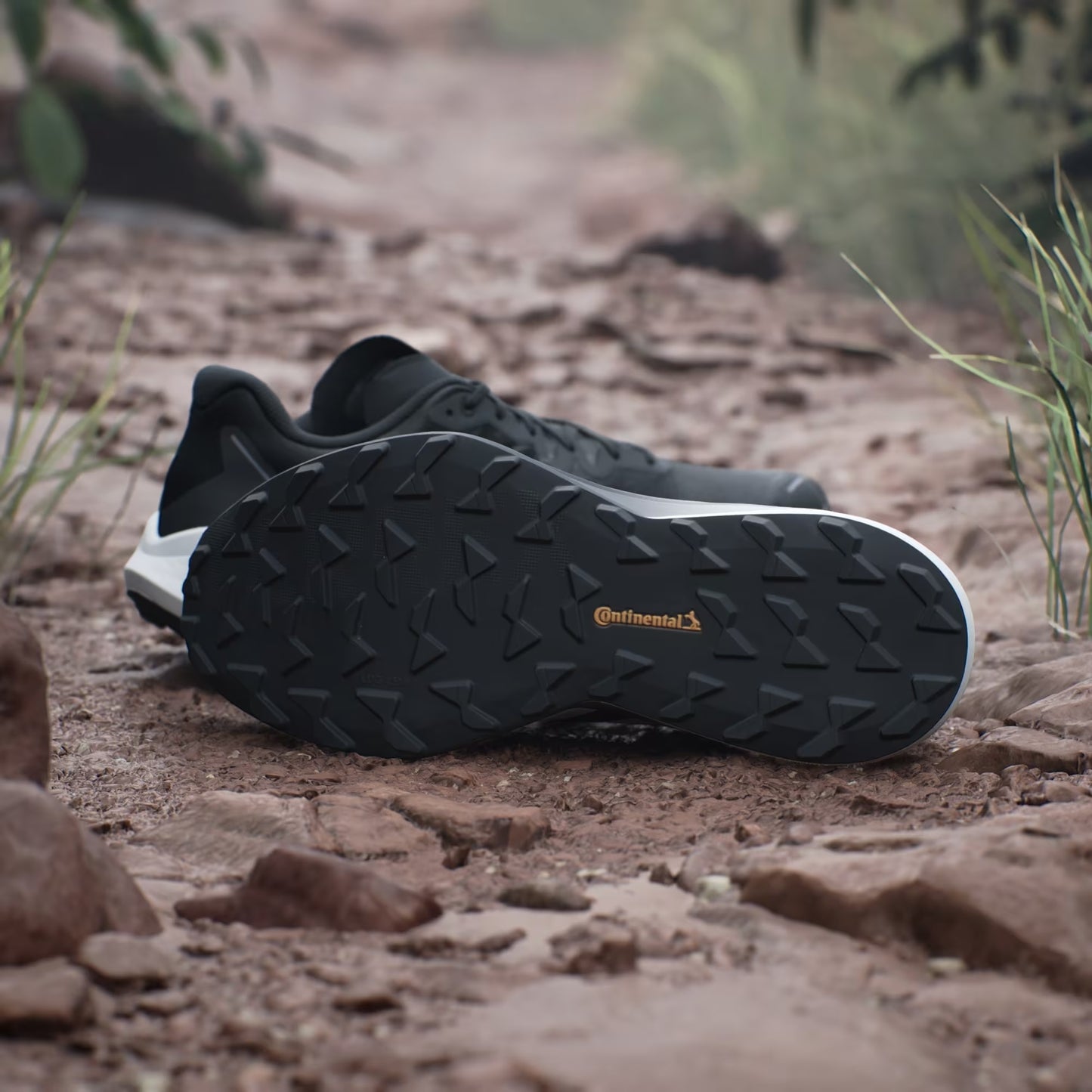 Adidas Terrex Agravic 3 Men