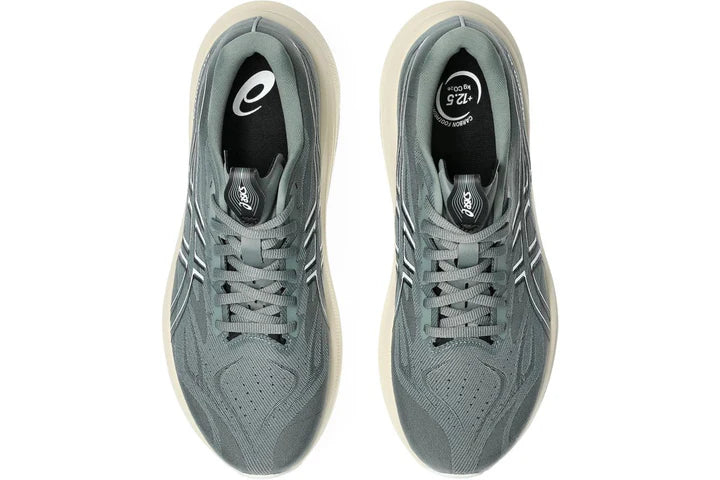 Asics GT-2000 14 Men