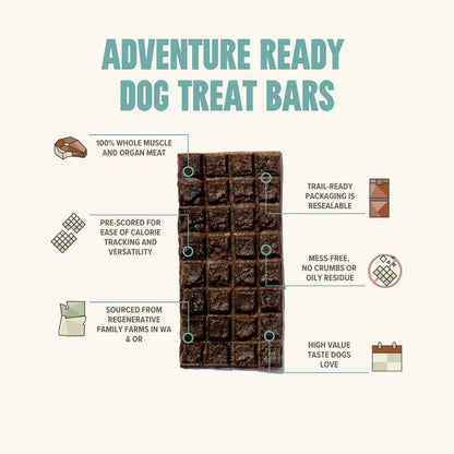 Salmon Treat & Snack Bar for Active Dogs - Energy & Recovery