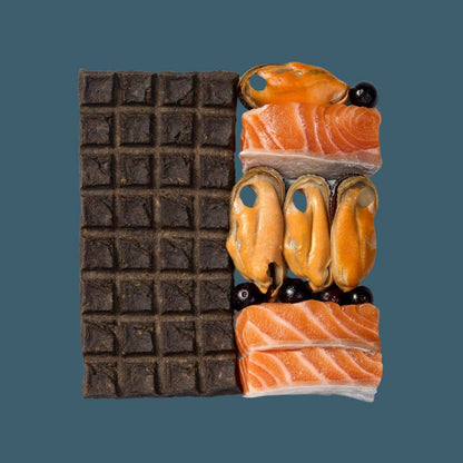 Salmon Treat & Snack Bar for Active Dogs - Energy & Recovery