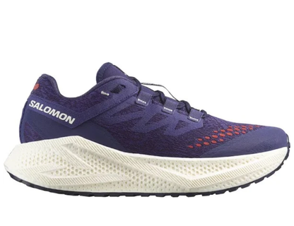 Salomon Aero Glide 3 GRVL Men