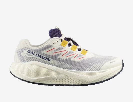 Salomon Aero Blaze 3 GRVL GTX Women