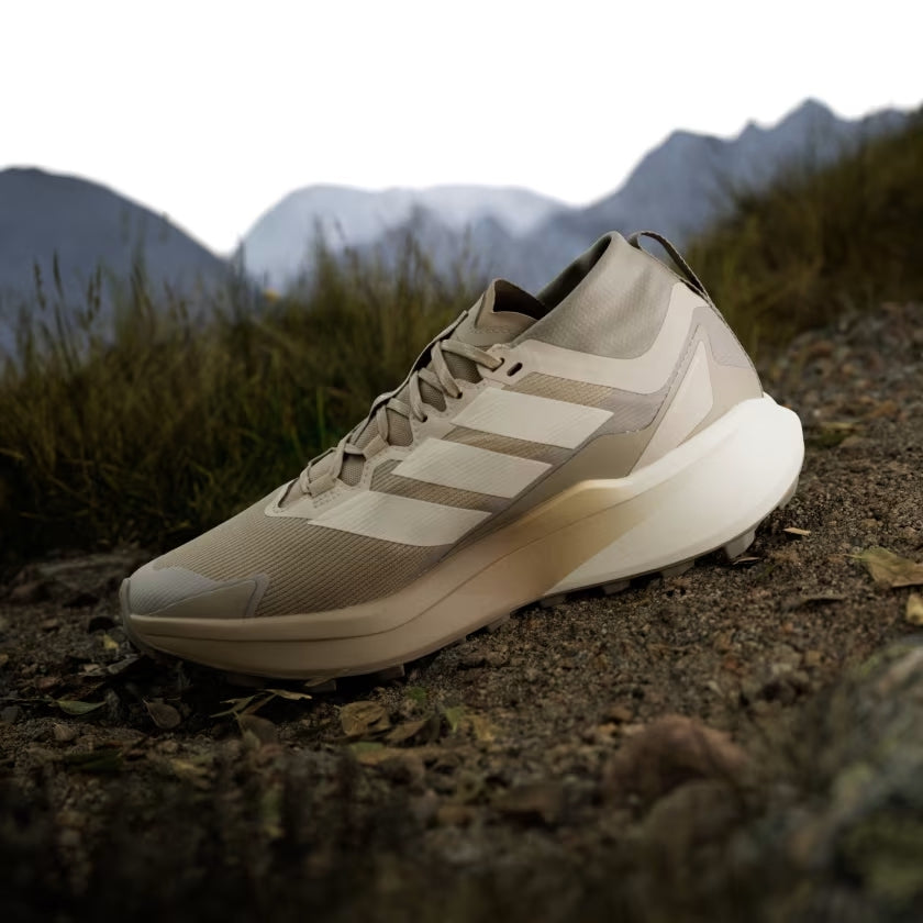 Terrex Agravic GTX Men