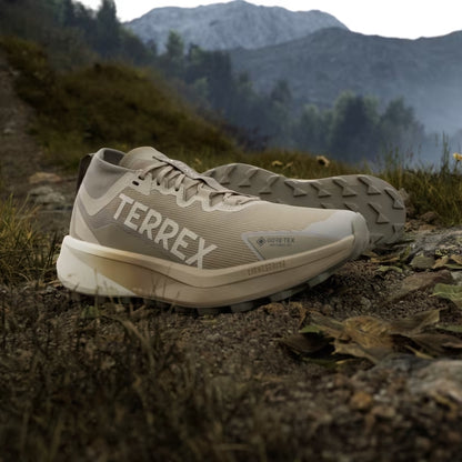 Terrex Agravic GTX Men