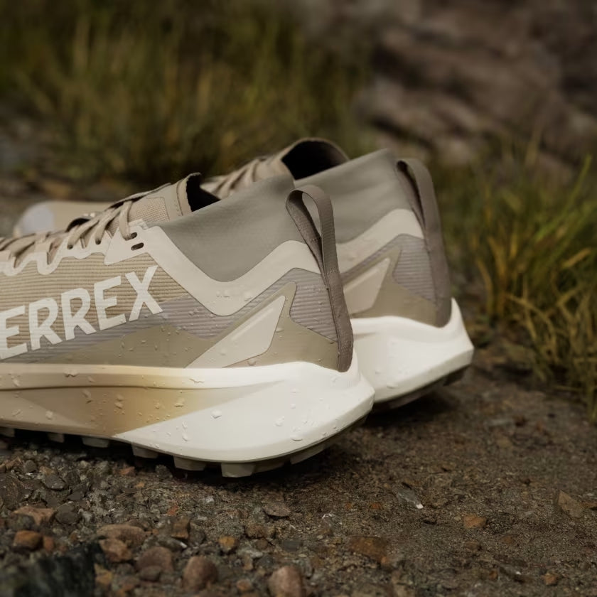 Terrex Agravic GTX Men