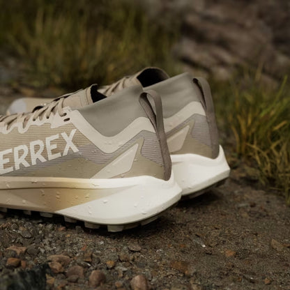 Terrex Agravic GTX Men