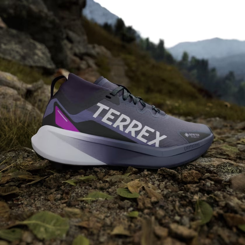 Terrex Agravic GTX Women