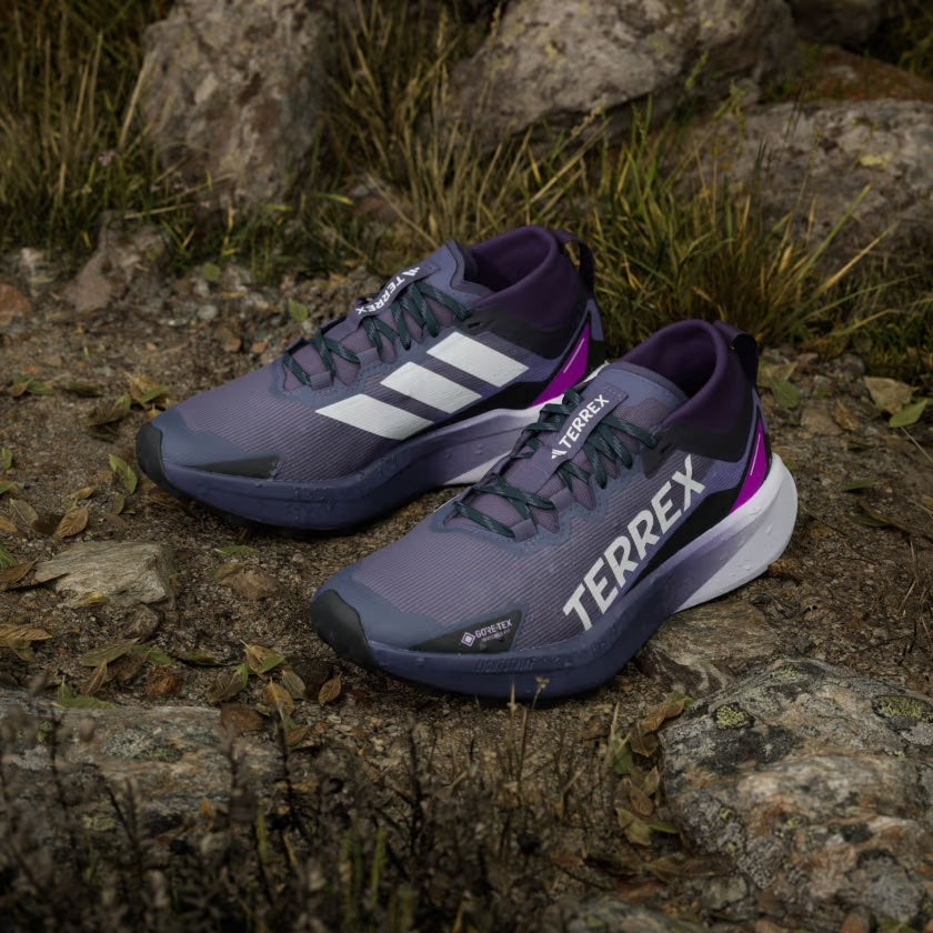 Terrex Agravic GTX Women