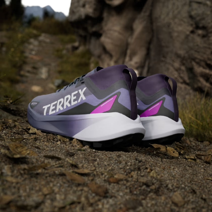 Terrex Agravic GTX Women