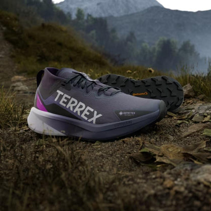 Terrex Agravic GTX Women