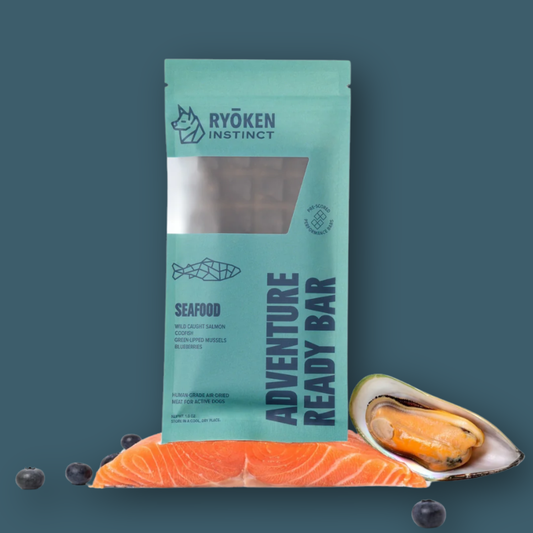 Salmon Treat & Snack Bar for Active Dogs - Energy & Recovery