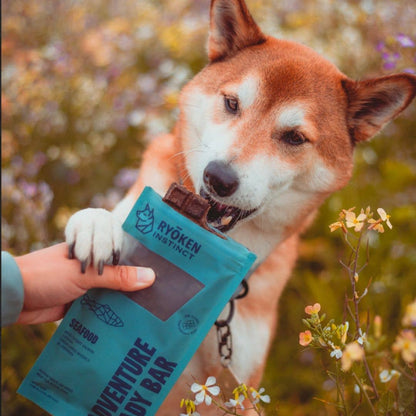 Salmon Treat & Snack Bar for Active Dogs - Energy & Recovery